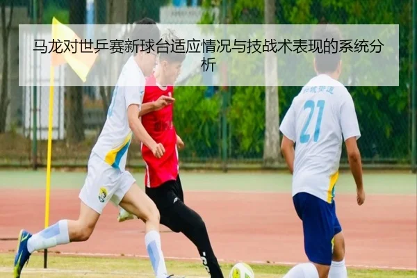 马龙对世乒赛新球台适应情况与技战术表现的系统分析 - Wanmei